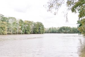river with trees on the banks