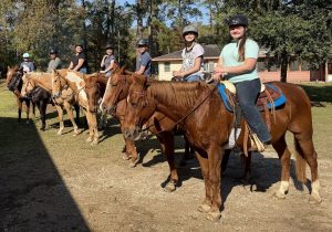 Row of horses with riders wearing helmets